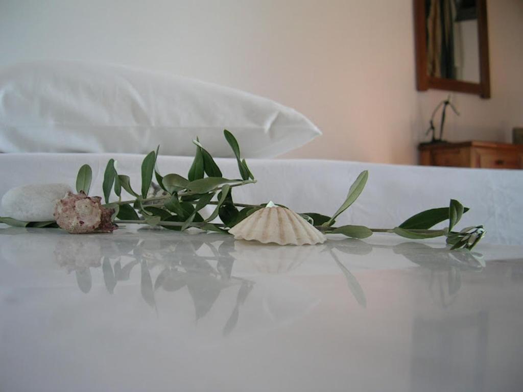 La Veranda Of Mykonos Traditional Guesthouse Mykonos Town Zewnętrze zdjęcie