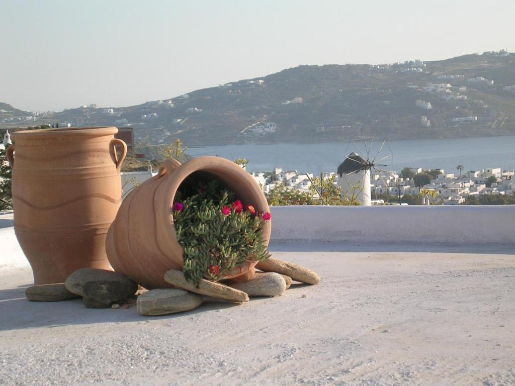 La Veranda Of Mykonos Traditional Guesthouse Mykonos Town Zewnętrze zdjęcie